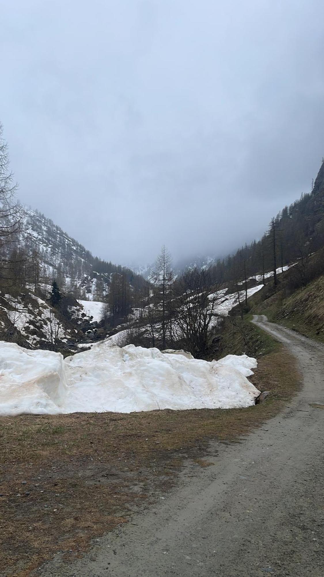 Laghi Di Como Appartamento Di Licinia E Mario Asso Kültér fotó